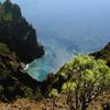 Spanish courses in Tenerife 3
